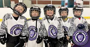 Image result for Reading Hockey Club