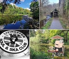 Image result for Livingston Letham Bowling Club