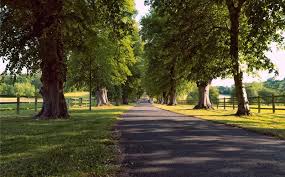 Image result for Woolmers Park Polo Club