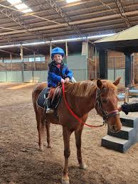 Image result for Kings Ranch Riding School/Club