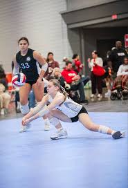 Image result for Triple F Badminton Club