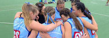 Image result for Camelot Netball Club