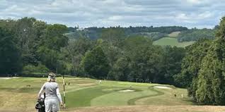 Image result for Betchworth Park Golf Club