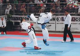 Image result for Parkgate Taekwondo Club