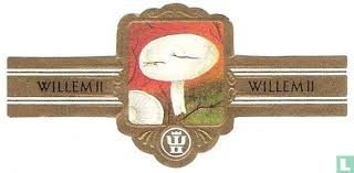 Attēlu rezultāti vaicājumam “Tricholoma album”