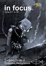 Image result for Falmouth Octopush Club