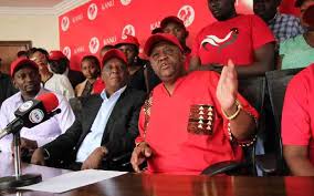 Image result for peter kariuki