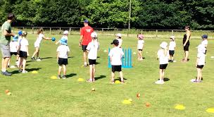 Image result for Whitchurch Wayfarers Cricket Club