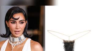 Image result for schamhaar