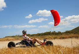 Image result for Baiter Power Kite