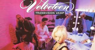 Image result for transvision vamp