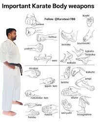 Image result for Kenshukai Karate