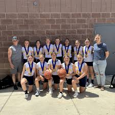 Image result for Elmbridge Girls Basketball Club