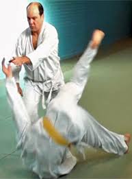 Image result for White Oak Aikido Reading