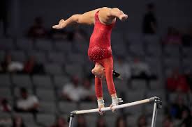 Image result for Redcar School Of Gymnastics