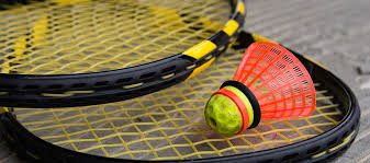 Image result for Optimum Speedminton Club
