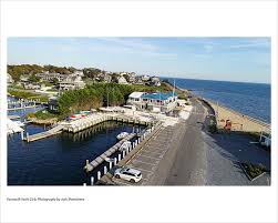 Image result for Falmouth and Helston Octopush Club