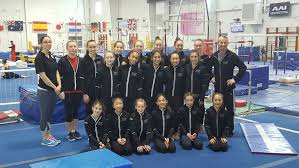 Image result for Phoenix Gymnastics