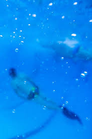 Image result for Caversham Underwater Hockey Club