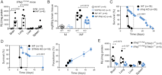 Attēlu rezultāti vaicājumam “undetermined plasmodium”