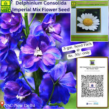 Image result for Delphinium consolida