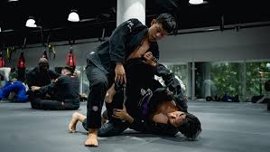 Image result for Judo/Ju-Jitsu Self Defence
