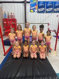 Image result for The Flip Factory Gymnastics Club