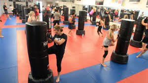 Image result for United Dojos Kickboxing