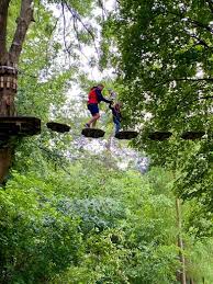 Image result for Go Ape! Leeds Castle