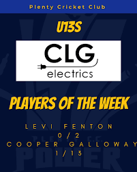 Image result for Fenton Cricket Club