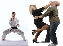 Image result for Combined self defence arts