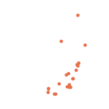 Attēlu rezultāti vaicājumam “Diderma chondrioderma sessile”