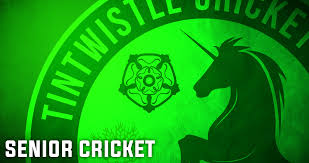 Image result for Tintwistle Cricket Club