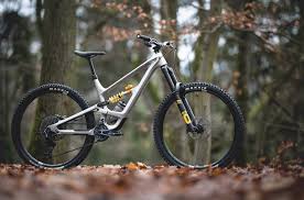 Attēlu rezultāti vaicājumam “Capra”