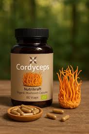 Attēlu rezultāti vaicājumam “Cordyceps”