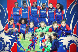 Image result for Crystal Palace Netball Club