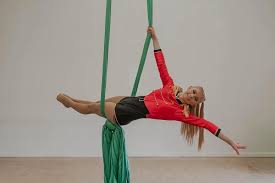 Image result for Harriers Acrobatic Gym Club