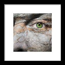 Image result for Lewandowsky-Lutz