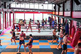 Image result for Muay Thai Clubs