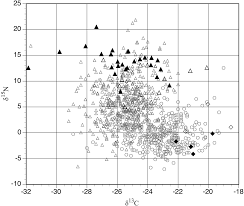 Attēlu rezultāti vaicājumam “Pistillaria sp.”