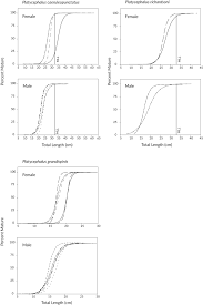 Image result for Platycephalus richardsoni