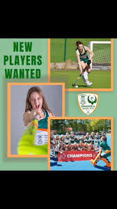 Image result for Swansea Ladies Hockey Club