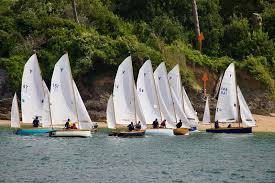 Image result for Salcombe Yacht Club