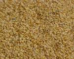 10 Reasons to Eat Flax Seed Every Day « Nourishing Words