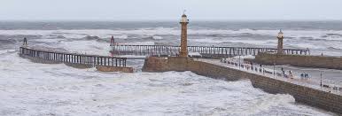 Image result for Paignton Sea Anglers Association