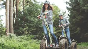Image result for Go Ape! Moors Valley