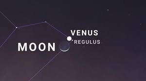 Image result for moon venus
