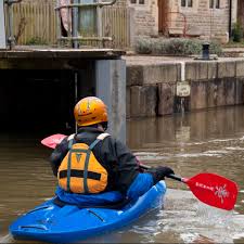 Image result for Kingfisher Canoe Club