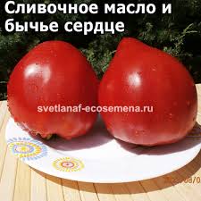 Afbeeldingsresultaat voor butter and bull heart tomato