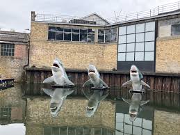 Image result for London Sharks Floorball Club